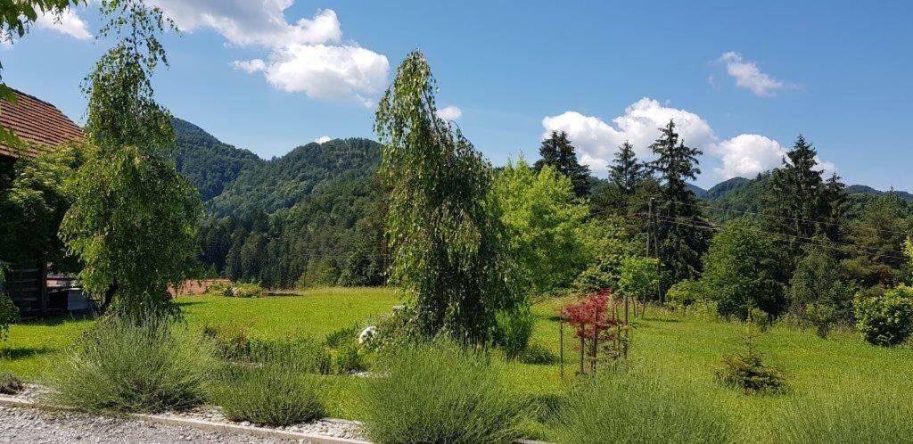 Hillside Bio Resort Delux Apartments Sesce Pri Preboldu Zewnętrze zdjęcie