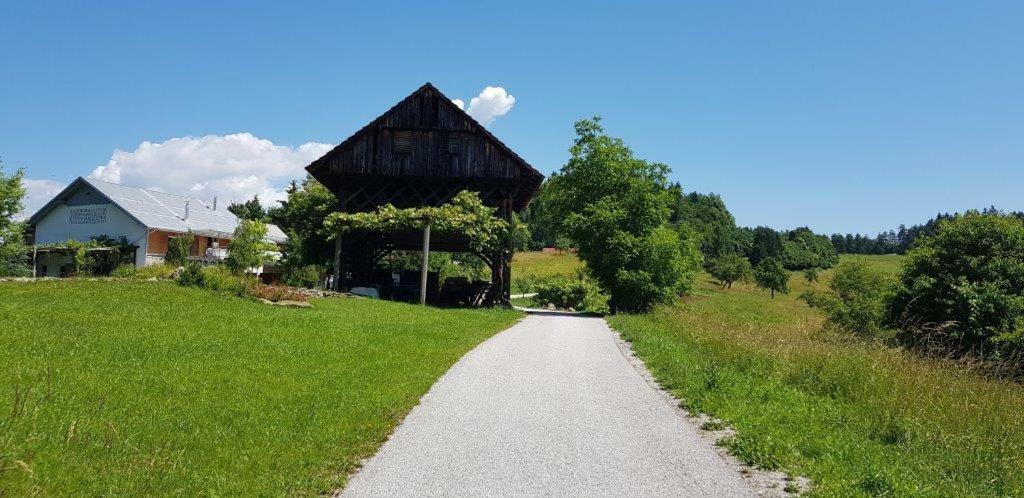 Hillside Bio Resort Delux Apartments Sesce Pri Preboldu Zewnętrze zdjęcie