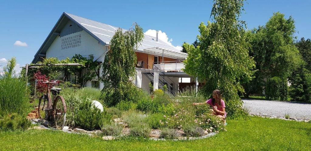 Hillside Bio Resort Delux Apartments Sesce Pri Preboldu Zewnętrze zdjęcie